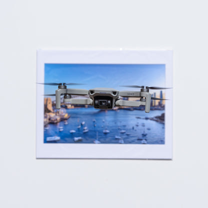 The Sydney Harbour