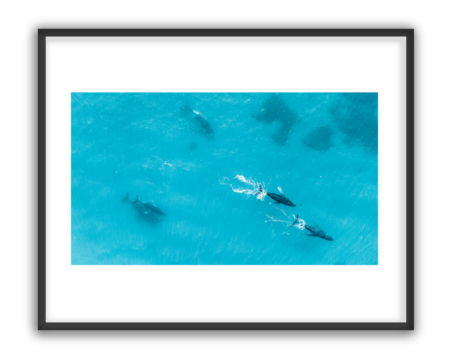 Whale 3 - 1/5