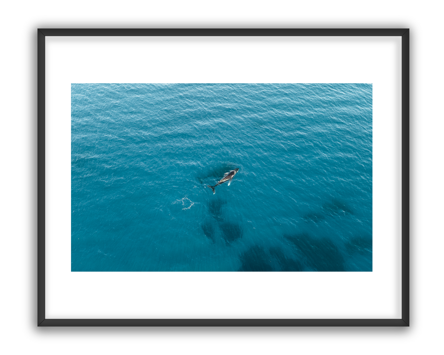 Whale 1 - 1/10
